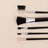 Набор кистей для макияжа, 5 предметов, цвет чёрный Набор кистей для макияжа, 5 предметов, цвет чёрный