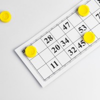 Русское лото "Время игры", 24 карточки, карточка 17.2 х 7.5 см, жёлтые фишки