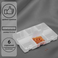 Органайзер, 9 × 6 × 1,8 см, 6 отделений, цвет прозрачный