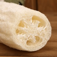 Мочалка из люфы «Губка», натуральная, 20 см