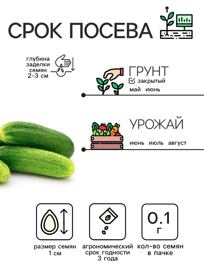 Семена Огурец "Либелле", 0,1 г