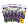 Семена цветов Лаванда "Пурпурный колос",набор 5 шт Семена цветов Лаванда "Пурпурный колос",набор 5 шт