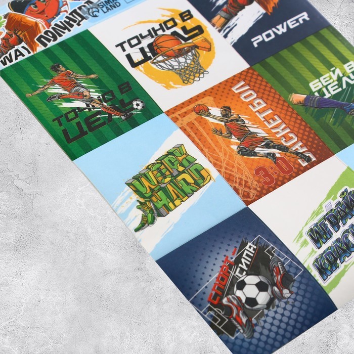 Набор наклеек бумажных «Для мальчиков», 11 х 15.5 см, 10 листов