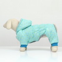 Комбинезон «нежный путь» на меховом подкладе, размер S (ДС 25, ОШ 25, ОГ 35 см), голубой