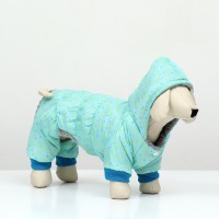 Комбинезон «нежный путь» на меховом подкладе, размер S (ДС 25, ОШ 25, ОГ 35 см), голубой