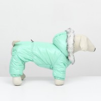 Комбинезон «Глянец», размер S (ДС 24, ОГ 34, ОШ 24 см, до 5 кг), мятный