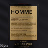 Туалетная вода мужская Homme Champion, 100 мл