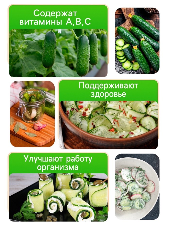 Семена Огурец "Коротышка", 0,4 г