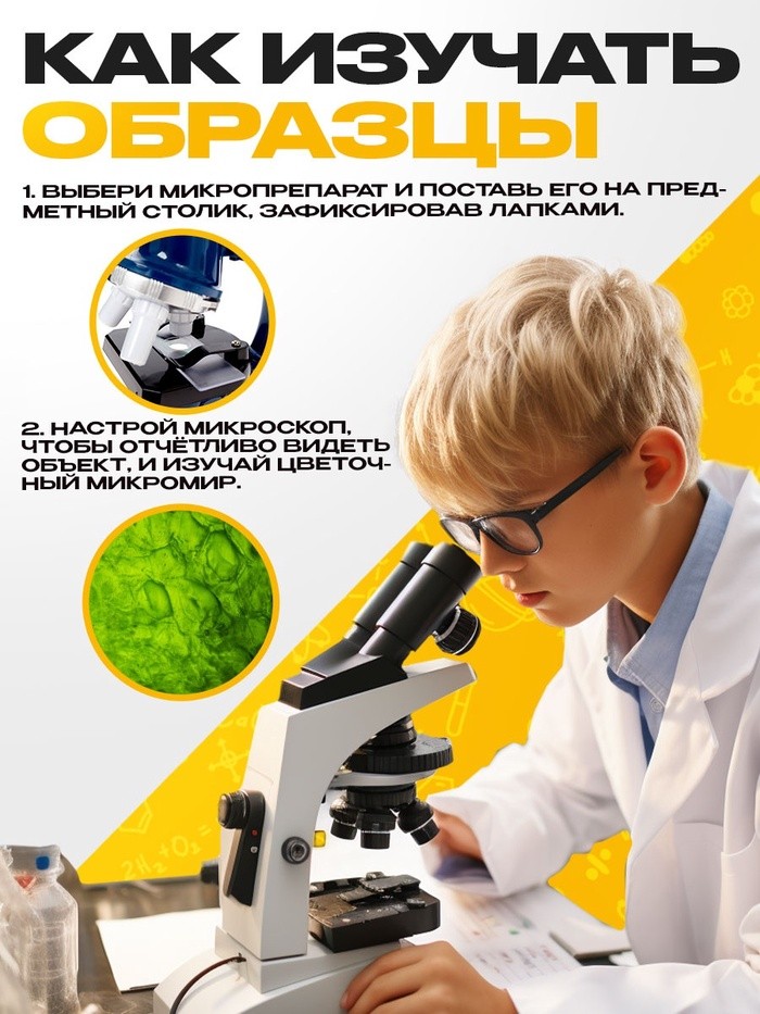 Набор для опытов «Набор микропрепаратов», растения Набор для опытов «Набор микропрепаратов», растения