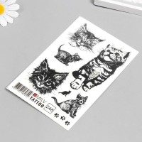 Татуировка на тело "Котята ч/б" 10х15 см