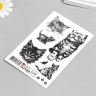 Татуировка на тело "Котята ч/б" 10х15 см Татуировка на тело "Котята ч/б" 10х15 см