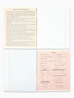 Тетради предметные, 48 л., набор из 10 шт., блок №1, ТВИН лак, уф лак «Абстракция»