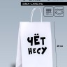 Пакет подарочный бумажный «Чёт несу», 24×14×28 см Пакет подарочный бумажный «Чёт несу», 24×14×28 см