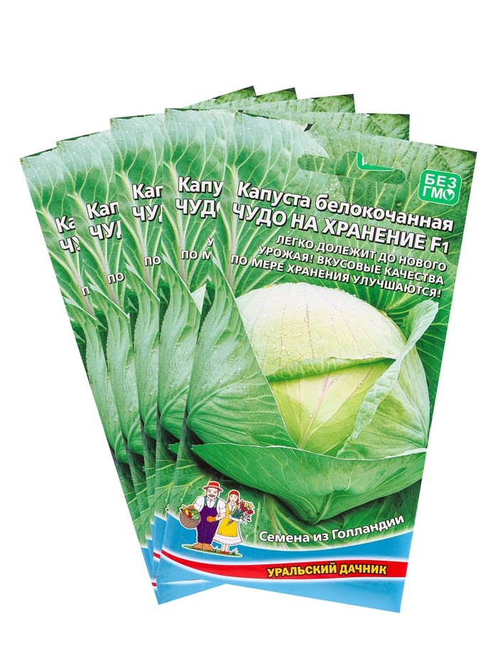 Набор семян Капусты белокочанной "Чудо на хранение" F1, 5 шт.