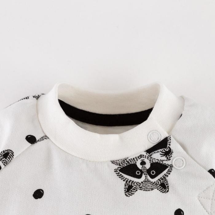 Комплект: джемпер и брюки Крошка Я «Еноты», рост 62-68 см