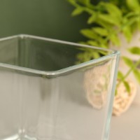 Ваза "Кубик" Бернарди-3 10х10 см, 0,5л