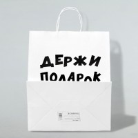 Пакет подарочный с приколами, крафт «Держи подарок», белый, 24×14×28 см