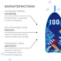 Ледянка Winter Star «Хохлома», 90х40 см, толщина 1 см