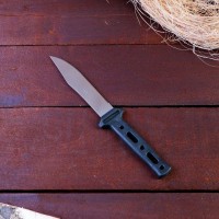 Нож туристический "Агне" в ножнах из пластика, лезвие 12 см