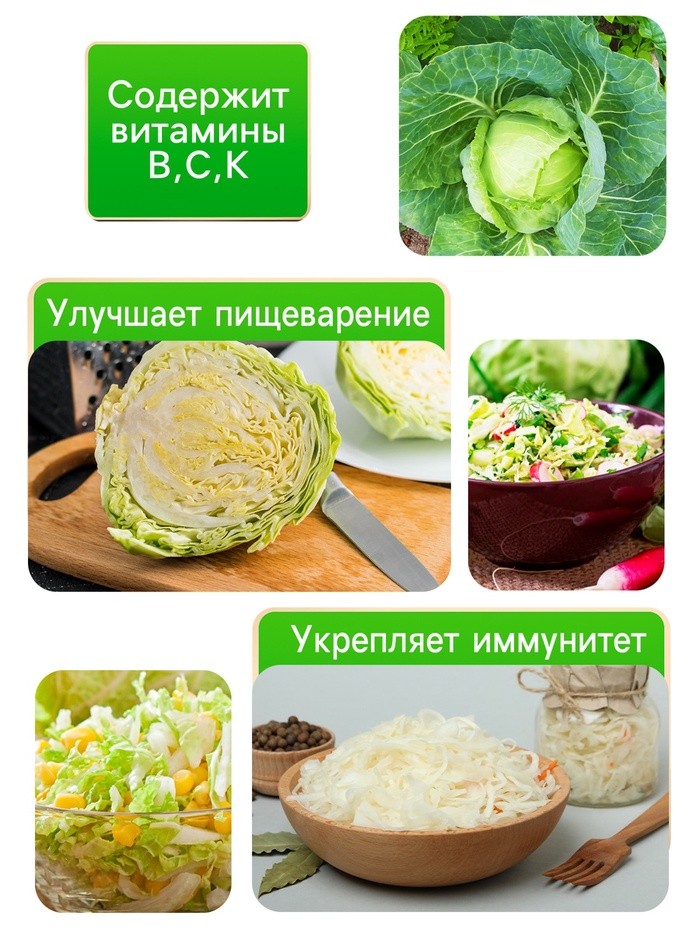 Семена Капуста белокочанной "Вьюга", 0,3 г Семена Капуста белокочанной "Вьюга", 0,3 г