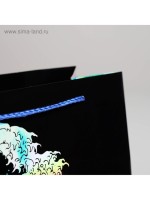 Пакет подарочный голографический, упаковка, The sea, 27×23×11.5 см