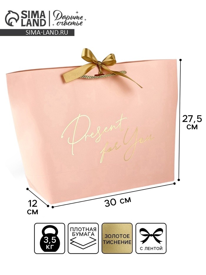 Пакет подарочный, упаковка, Present for you, 30×27.5×12 см