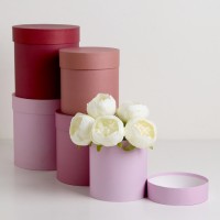 Набор круглых подарочных коробок 5 в 1 «Кофе с молоком», 20×20 ‒ 14×14 см