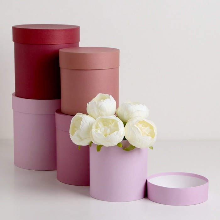 Набор круглых подарочных коробок 5 в 1 «Кофе с молоком», 20×20 ‒ 14×14 см