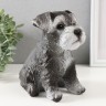 Копилка  "Щеночек Миттель" высота 17 см, ширина 11,5 см, длина 16,5 см серо-черный