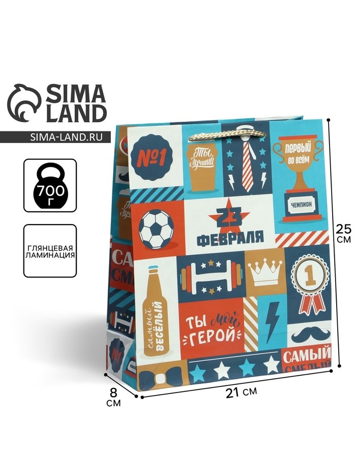 Пакет подарочный ламинированный, упаковка, «С 23 февраля», ML 21×25×8 см