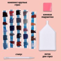 Алмазная мозаика с частичным заполнением на холсте «Следуй за мной», 30 х 40 см