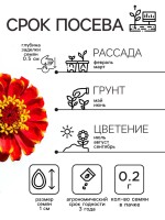 Семена цветов Цинния "Сомбреро", 0,2 г