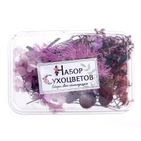 Набор для творчества «Набор сухоцветов», малый, фиолетовый