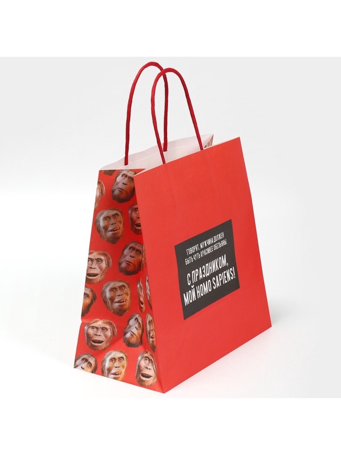 Пакет подарочный, упаковка, «Обезьяна», 22×22×11 см