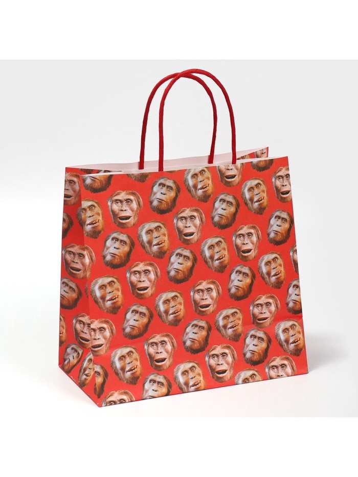 Пакет подарочный, упаковка, «Обезьяна», 22×22×11 см