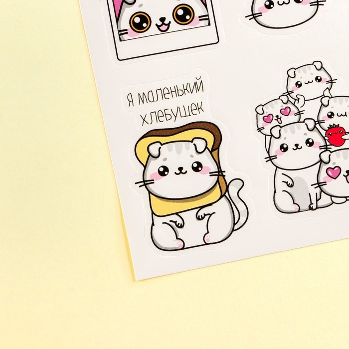 Наклейки бумажные «Волшебный кот», 11 × 16 см