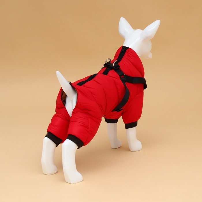 Комбинезон для собак со шлейкой «Моден», размер 12 (ДС 28, ОГ 38, ОШ 27 см), красный