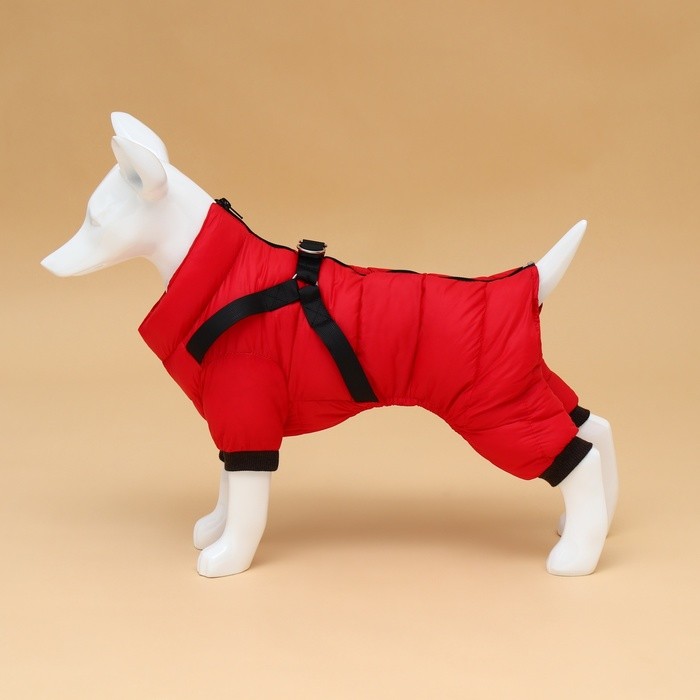 Комбинезон для собак со шлейкой «Моден», размер 12 (ДС 28, ОГ 38, ОШ 27 см), красный