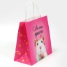 Пакет подарочный, упаковка, «Ля ты», 22×22×11 см Пакет подарочный, упаковка, «Ля ты», 22×22×11 см