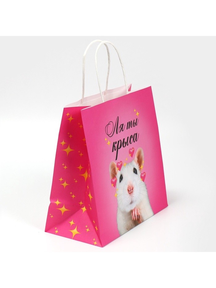 Пакет подарочный, упаковка, «Ля ты», 22×22×11 см Пакет подарочный, упаковка, «Ля ты», 22×22×11 см