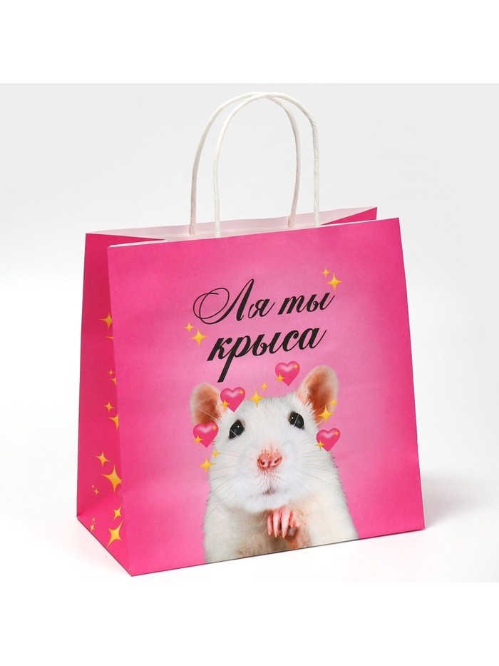 Пакет подарочный, упаковка, «Ля ты», 22×22×11 см Пакет подарочный, упаковка, «Ля ты», 22×22×11 см