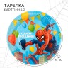 Тарелка бумажная одноразовая «С Днем Рождения!», 18 см, Человек-паук