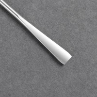 Палитра для смешивания лаков, 10 × 15 см, с шабером 15 см, цвет прозрачный