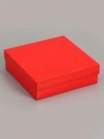 Коробка складная, крышка-дно, красная, 20×20×6 см