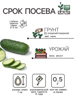 Семена Огурец "Засолочный", 0,5 г