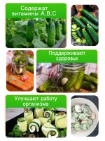 Семена Огурец "Засолочный", 0,5 г