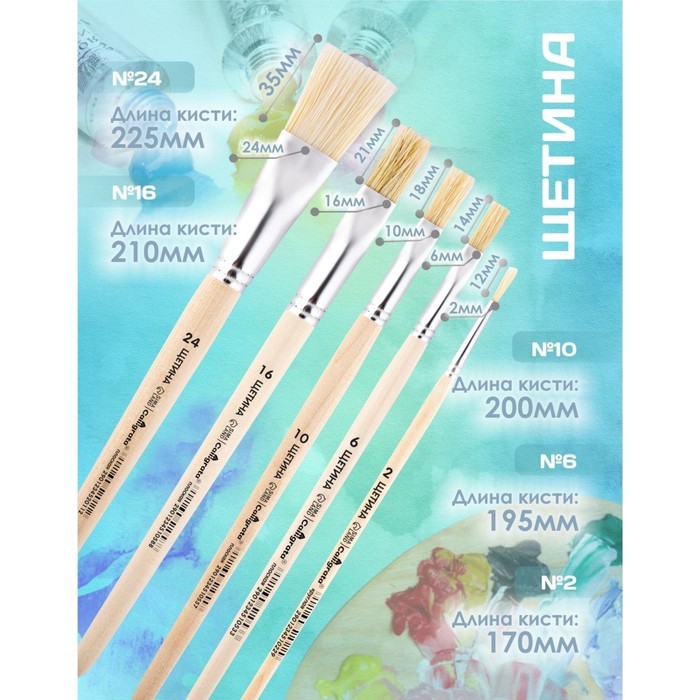 Набор кистей для рисования, щетина, 5 штук: №: 2, 6, 10, 16, 24, Calligrata, плоские, деревянная ручка, в пакете Набор кистей для рисования, щетина, 5 штук: №: 2, 6, 10, 16, 24, Calligrata, плоские, деревянная ручка, в пакете