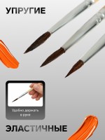 Набор кистей для рисования, белка, 3 штуки: № 1, 2, 3, круглые, деревянная ручка, международный размер