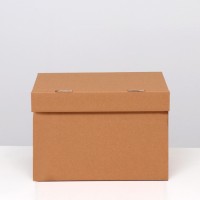 Коробка для хранения "А4", бурая, 32.5×23.5×23.5 см