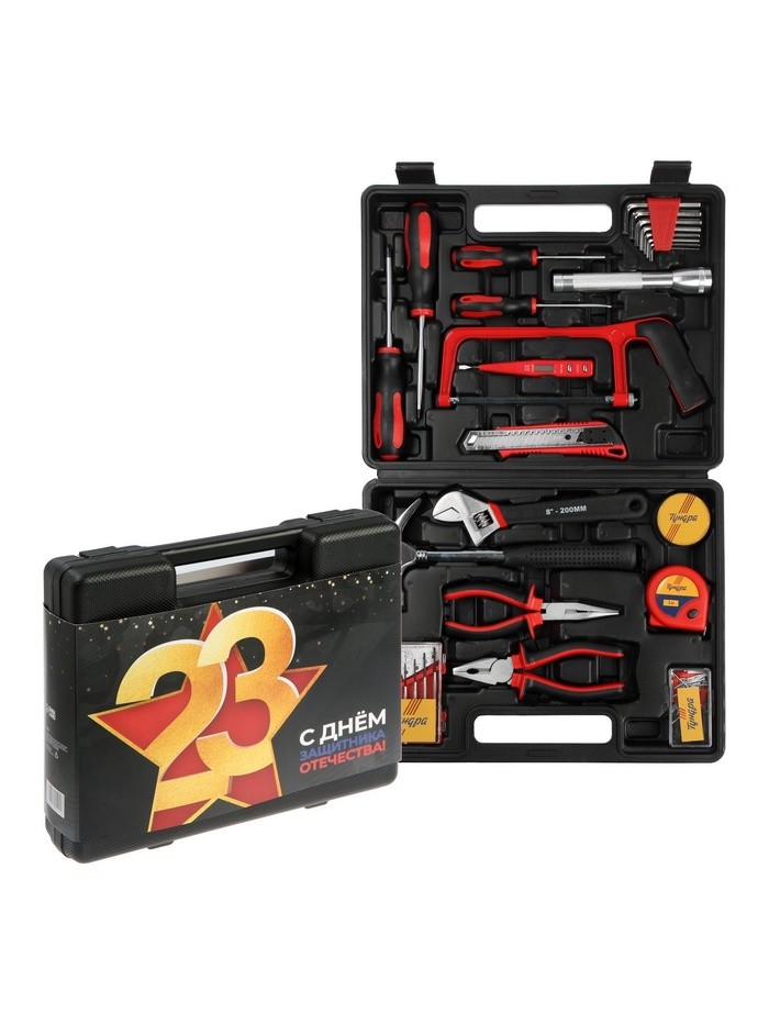 Набор инструментов в кейсе ТУНДРА «23 ФЕВРАЛЯ», в подарочной упаковке, 31 предмет